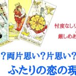 🌹恋愛タロット占い🌹厳しめ選択肢あります‼️両思い？両片思い？片思い？ふたりの恋の現在地 お相手様の現状 恋愛へのモチベーション あなたへの気持ち ふたりは両思い？etc..