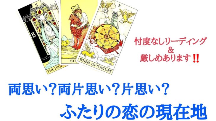 🌹恋愛タロット占い🌹厳しめ選択肢あります‼️両思い？両片思い？片思い？ふたりの恋の現在地 お相手様の現状 恋愛へのモチベーション あなたへの気持ち ふたりは両思い？etc..