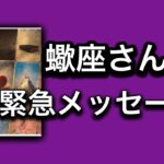 【2025⭐️素晴らしい締めくくりの月になる✨蠍座さんへ表示されています】⚡️ここから１ヶ月😱全体運⭐️仕事運⭐️恋愛運🩷人間関係🩷ガッツリ読み解きました🃏
