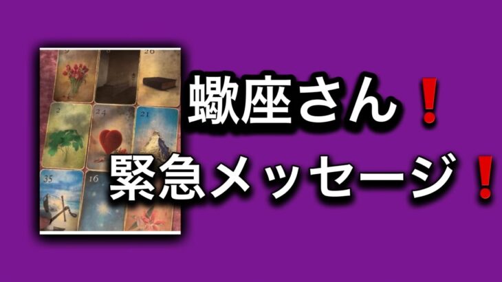【2025⭐️素晴らしい締めくくりの月になる✨蠍座さんへ表示されています】⚡️ここから１ヶ月😱全体運⭐️仕事運⭐️恋愛運🩷人間関係🩷ガッツリ読み解きました🃏