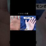 最高と言われる素晴らしい手相 #手相鑑定 #手相 #占い #手相占い