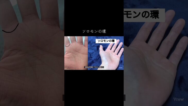 最高と言われる素晴らしい手相 #手相鑑定 #手相 #占い #手相占い