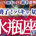 水瓶座 12月下旬~1月前半【さすがの強展開！過去をリセット】年が変わるとスッキリ好運気　みずがめ座　2025年 １２月運勢　タロット　Aquarius　December　January