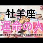 【牡羊座】運命のお相手💕🌟特徴/相手からの印象/時期やシチュエーション/2人の未来💖タロット占い🔮