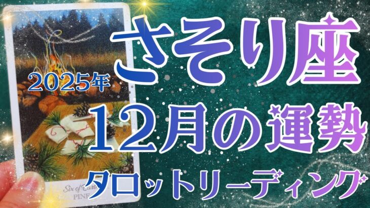 さそり座さん♏️2025年12月の運勢タロットリーディング✨