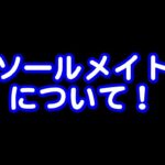 395ライブ配信　ソールメイトについて！
