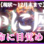 【蟹座♋️12月後半】✨神回!!✨達成と祝福☀️🎊そして力強く次のステージへ！（タロットカードリーディング）