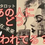（恋愛💛霊視タロット）❤️あの人にどう思われてる？⭐️あなたへの過去現在未来の心の動きがわかります