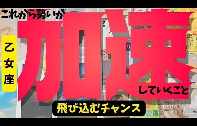 【乙女座】加速していくこと🌼▼タロットカード&オラクルカード&ルノルマンカード占い