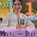 【さそり座】2026年1月／想像以上の展開、来ます！願望や夢が一気に叶います！