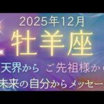 【牡羊座】3つの重要メッセージ✨スピリットガイドからメッセージ✦✦オラクルカードリーディング