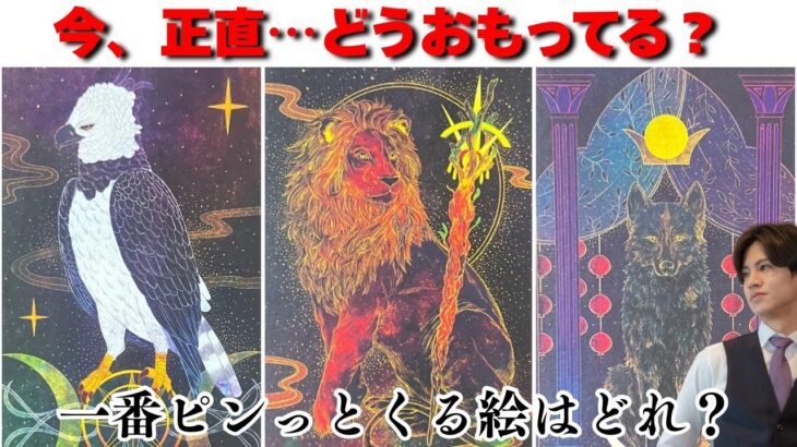 核心直撃💥いま私のことどう思ってる？あの人の“心の中”を男心×タロットで深層解明🧠彼と私心の底にある想い・葛藤・期待まで…全部まるごと代弁します❤️更に近くの進展と引き寄せのアドバイスさせて頂きます！