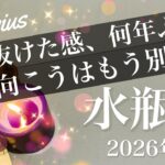 【みずがめ座】2026年1月♒️ これは一気に突き抜けるね！緊張からの解放、とてつもなく吹っ切れる、気づけばもうハッピーエンド