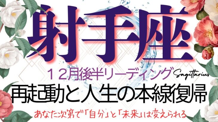 射手座♐️12月後半💫 【リセットと再生】耐える役目はもう終了❗️本来の力を取り戻し新しい流れへ進む❗️Sagittarius