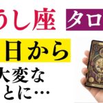おうし座♉タロットの暗示！驚きを隠せないほど衝撃的な変化が始まる！※8秒以内に再生しないと幸福がすり抜けます【運勢】 #牡牛座 #金運 #占星術