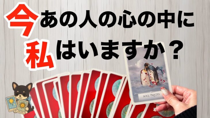 【ハッキリしたい方向け🚨】あの人の心の中をアゲ鑑定一切ナシでお伝えします‼️