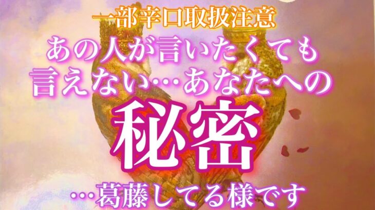 【🦋一部辛口取扱注意⚠️💞】『凄いこと言ってる…』あの人が言いたくても言えない秘密…葛藤してる様です…🦋