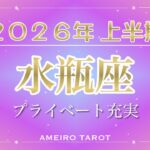 2026年上半期🪐水瓶座【プライベート大充実‼️最強カードオンパレード】