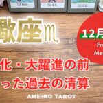 【さそり座12月後半】大変化・大躍進の2026年に向けて辛かった過去を清算する時‼️金運から願いが叶い始める✨