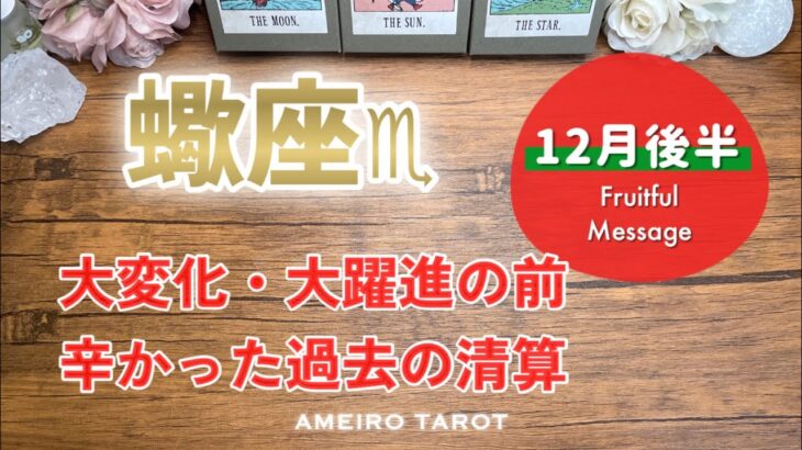 【さそり座12月後半】大変化・大躍進の2026年に向けて辛かった過去を清算する時‼️金運から願いが叶い始める✨