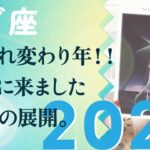 2026年、新しいお役目を受け入れる。昇っていきます、とても。【2026年の運勢　山羊座】