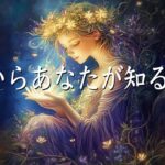 これから、あなたが知る真実🌹