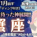【蟹座】受け取る番です。やっと報われる！最高の時間をお過ごしくださいね♥️【1月前半＆2026年上半期】仕事運/対人運/家庭運/恋愛運/全体運 [精密タロット占い]