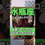 水瓶座さんの12月15日の週のタロットリーディング🍀