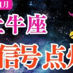 【牡牛座】2026年1月おうし座総合運「赤信号点灯‼️」