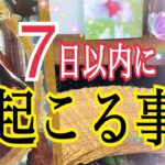 【鳥肌級🕊️✨】見てから7日以内に起こる事⁉️個人鑑定級タロット占い🔮⚡️