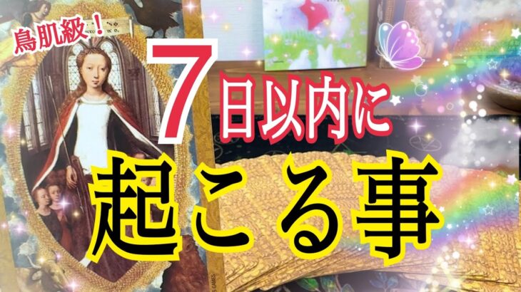【鳥肌級🕊️✨】見てから7日以内に起こる事⁉️個人鑑定級タロット占い🔮⚡️