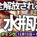 【水瓶座】♒️2025年12月15日の週♒️完全解放される時🍃信頼できる人に助けられ😊新たな道を行く❣️みずがめ座、タロットリーディング🍀