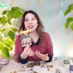 ♍️おとめ座さんへ【12月運勢】許されてるよ〜⭐︎占星術&タロット