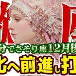 【15分でわかる！さそり座12月後半】人生の大掃除！ 不要な縁を断ち切り、最高の新年へ【癒しの眠れる占い】