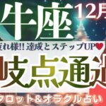 牡牛座さん。人生の大転換です。ここまで本当にお疲れ様でした。思いっきり楽しんで♥️【仕事運/対人運/家庭運/恋愛運/全体運】12月後半 タロット占い