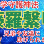 【算命学】守護神法「藤羅繋甲」を徹底解説！兄弟に助けられる運勢。例題：有村架純・有村藍里