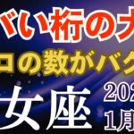 ♍️乙女座の金運♍️2026年1月のおとめ座の運勢～ヤバい桁の大金！ゼロの数がバグる～タロット＆星座占い