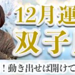 12月 ふたご座の運勢♈️ / 大飛躍の時！自分の幸せを本気で望む覚悟【トートタロット & 西洋占星術】