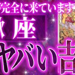 来年もしかしたら…【2026年運勢🎍】マジ✨蠍座の2026年に起きる重大な変化がやばすぎた✨今までの流れが一気に急変します【鳥肌級タロットリーディング】