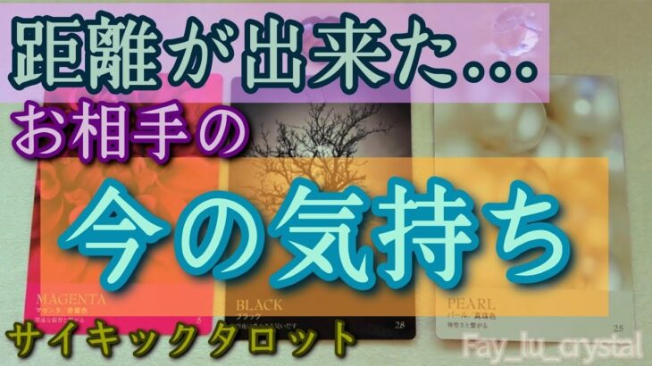 【辛口】距離が出来た関係❄️お相手の今の気持ち🔮リクエストリーディン🪬