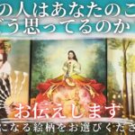 今あの人はあなたのことをどう思ってる？😖【 恋愛 気持ち タロット オラクル カード 占い】