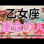 【乙女座】運命のお相手💕🌟特徴/相手からの印象/時期やシチュエーション/2人の未来💖タロット占い🔮