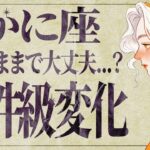 『見逃し厳禁‼️』蟹座さん今大丈夫ですか…？12月後半本当に心配です…。【運勢タロット占い】