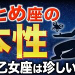【乙女座♍️金運】おとめ座が「最強」な理由【12星座】