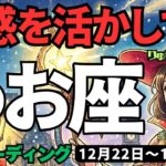 【魚座】♓️2025年12月22日の週♓️次の誕生日に向けて💕ご自身の直感を活かして😎前に進む時🐟うお座、タロットリーディング🍀