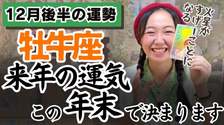 我が道を進むことが対価に変わるんです。【牡牛座12月後半の運勢】