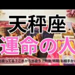 【天秤座】運命のお相手💕🌟特徴/相手からの印象/時期やシチュエーション/2人の未来💖タロット占い🔮