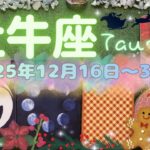 牡牛座★2025/12/16～31★あなたの深い部分を刺激する複数の新しいことが始まっていく！新しいステージに進む時（＋ラッキーアクション）