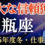 【水瓶座】2025年度冬のみずがめ座の仕事運～絶大な信頼獲得～