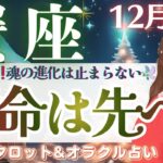 【蟹座】これは凄い👍想像を超えた魂の進化🌹豊かさを手にする未来🕊️✨【仕事運/対人運/家庭運/恋愛運/全体運】12月後半 タロット占い